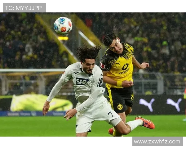 周六 012 德甲天王山！斯图加特主场不败金身遭应战？霍芬海姆客场抢分冲欧冠